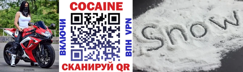 COCAIN Эквадор  где найти   OMG как зайти  дарк нет какой сайт  Городовиковск 