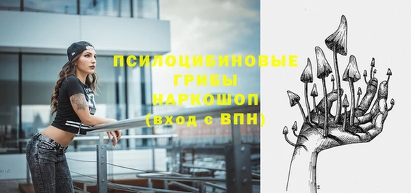 прущая мука Бородино