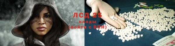 прущая мука Бородино