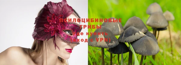 прущая мука Бородино