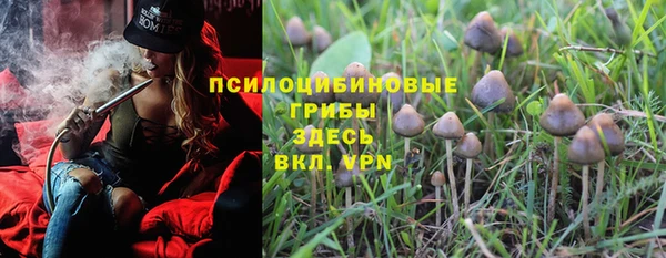 прущая мука Бородино