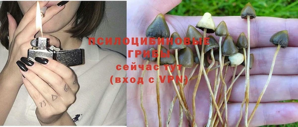 каннабис Беломорск